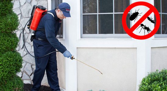 Yavuzeli Bit İlaçlama böcek ilaçlama ve haşere kontrolü — ilaclama-tr.com